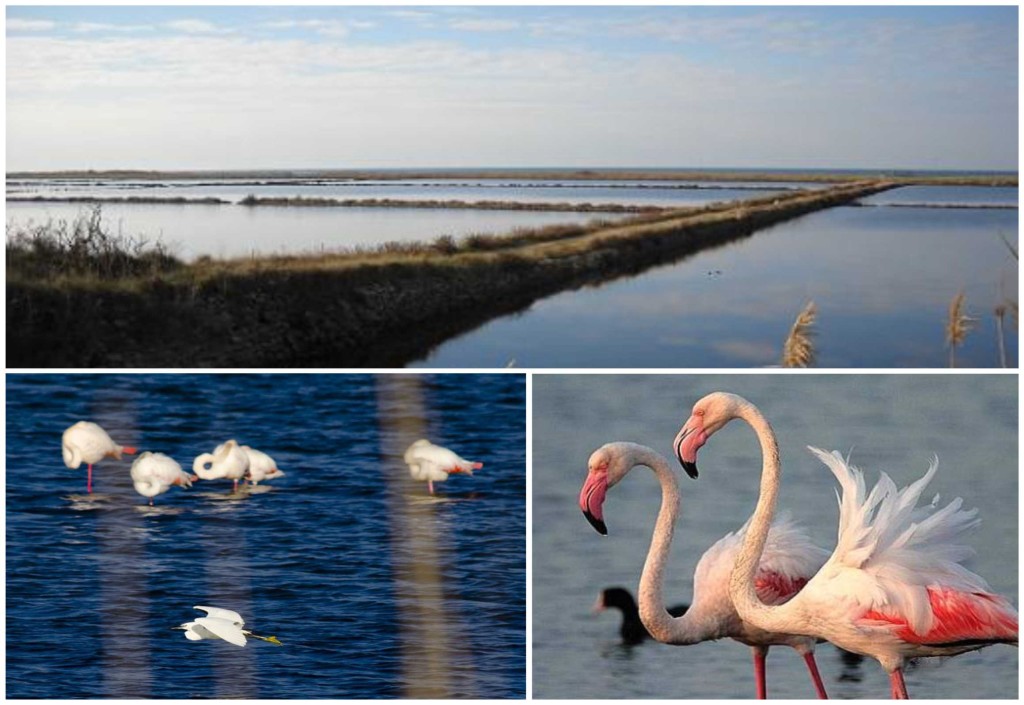 le saline di tarquinia