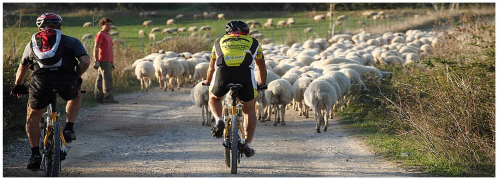 terre della farnesiana in bici