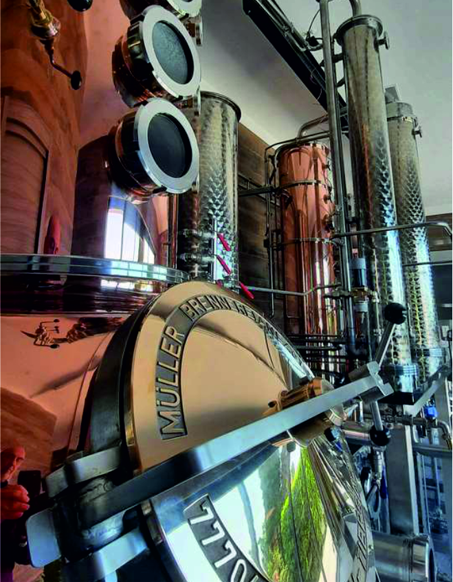 Distilleria NUMA nel Lazio a Tarquinia