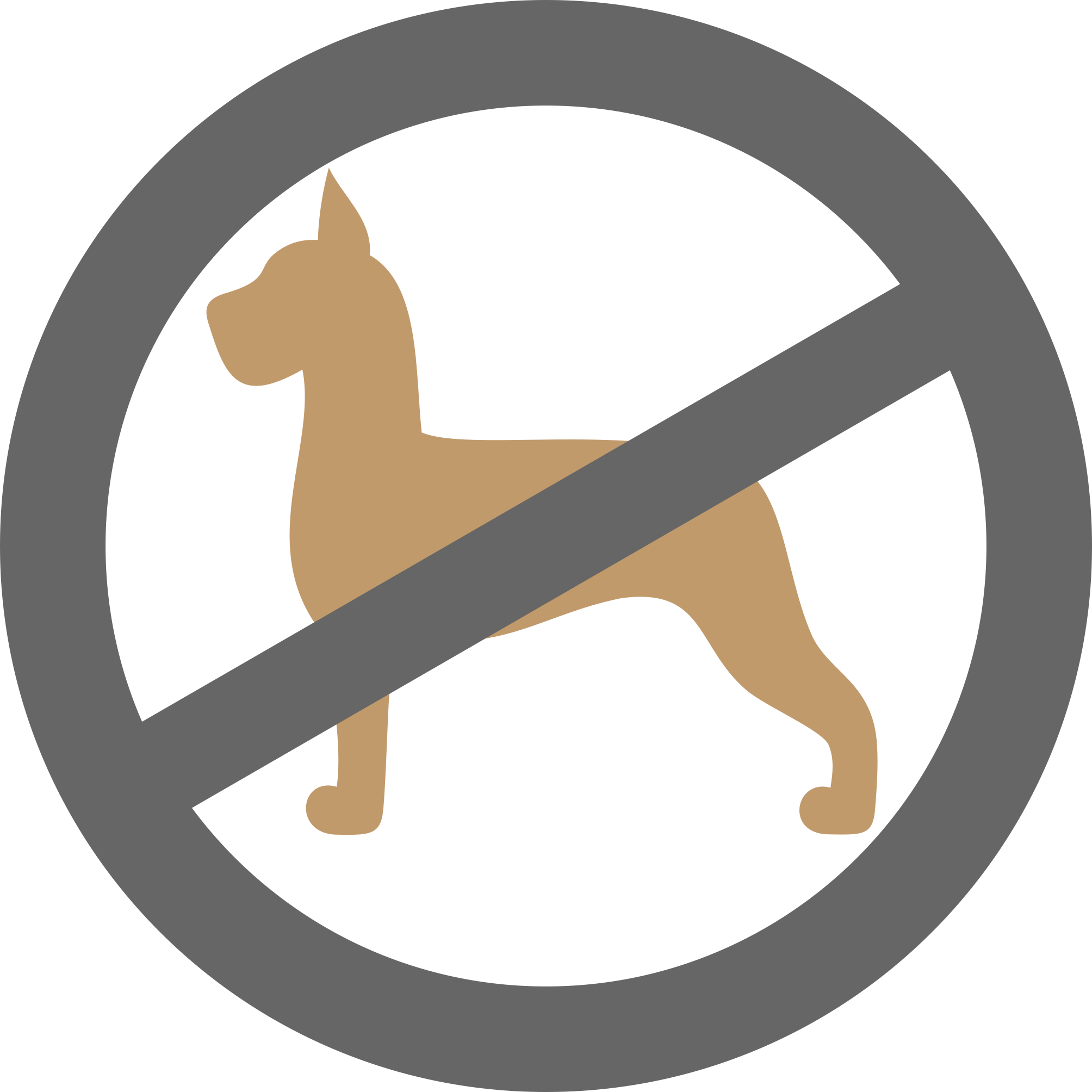 animali domestici non ammessi